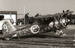 250px-Fiat_CR_42_-_J_11